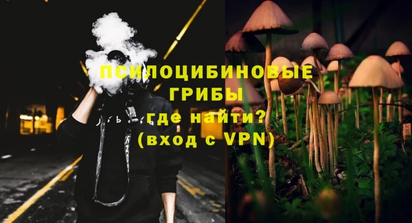 не бодяженный Арсеньев