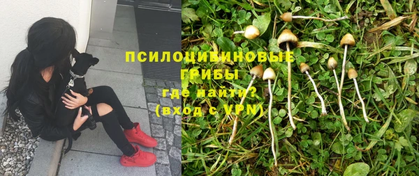 ГАЛЛЮЦИНОГЕННЫЕ ГРИБЫ Верхний Тагил