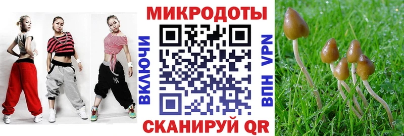 продажа наркотиков  Сретенск  Псилоцибиновые грибы мицелий 