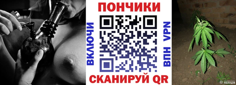 Канабис семена  где можно купить   Сретенск 